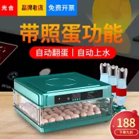 孵化机鸡蛋全自动小型鸭鹅鹌鹑蛋家用型智能孵化器鸽子孵化箱