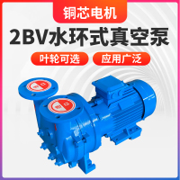 水环式真空泵工业用小型抽气泵2bv系列水循环无油负压泵压缩机