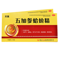 天强 五加参蛤蚧精 10ml*10支