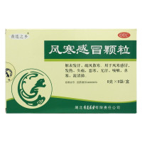 黄连之乡 风寒感冒颗粒 8g*9袋