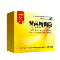 丹龙 黄芪精颗粒 8g*30袋 补血养气 固本止汗 气虚血亏 表虚自汗 四肢乏力
