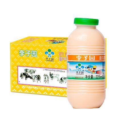 李子园乳饮料哈蜜瓜风味450ml