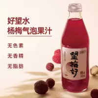 好望水望梅好果汁气泡水300ml
