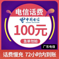 广东电信慢充72小时到账,面值100