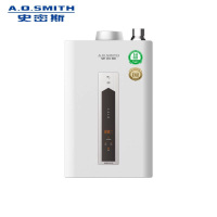 A.O.史密斯恒温燃气热水器.JSQ31-DSCX