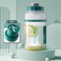 摩飞电器(Morphyrichards 榨汁杯便携式运动果汁杯吨吨桶网红充电无线顿顿杯随行杯MR9802 翡冷翠