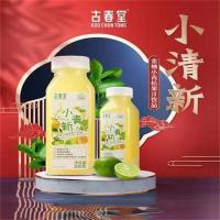 古春堂小青新金柚小青桔果汁饮品 300ml