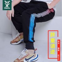 迪斯兔胖男童裤子秋季新款童装加肥加大纯棉运动裤大童宽松休闲裤