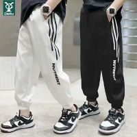 迪斯兔男童冰丝薄款防蚊裤中大童夏长裤男孩子运动裤速干休闲长裤