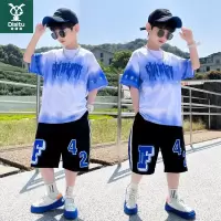 迪斯兔男童夏装短袖套装新款中大儿童洋气酷帅男孩夏季时髦网红潮