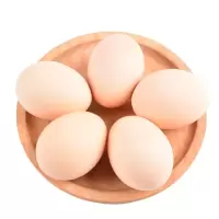 草鸡蛋20枚