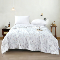 雅鹿 清氧冰丝空调被