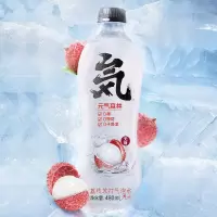 元气森林荔枝苏打气泡水480mL*15