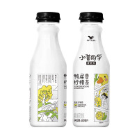 小茗同学 鸭屎香柠檬茶果味茶饮料 480ml/瓶