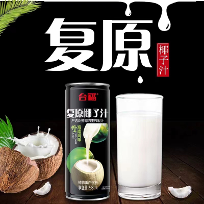 台福椰子汁植物蛋白饮料(238ml)