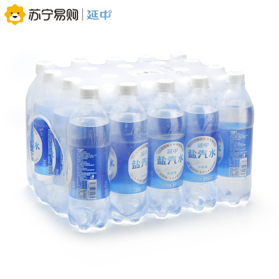 延中盐汽水600ml*20瓶 整箱