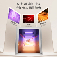 万和(Vanward)消毒柜ZTD100Q-N1