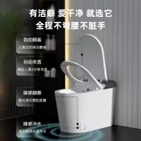 瑞尔特(R&T) A6P 有水箱智能马桶座圈加热妇洗臀洗等离子杀菌喷嘴调节自动翻盖