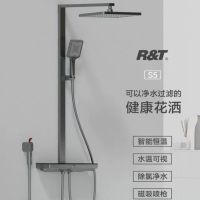 瑞尔特(R&T) RT525004H(S5H)四功能恒温花洒淋雨组合恒温淋浴花洒全铜套装灰色轻奢龙头浴室家用沐浴花洒