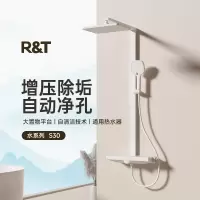 瑞尔特S1003(S30)淋浴器置物按键分水独立调温旋钮增压除垢拨动净孔自洁花洒套装