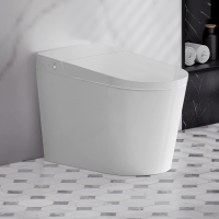 瑞尔特D5无水压限制自动开盖智能温控等离子杀菌除臭智能马桶