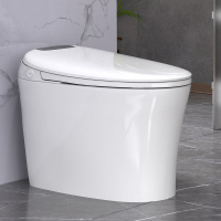 瑞尔特(R&T)E31轻智能马桶即热大冲力一体家用全自动小户型坐便器