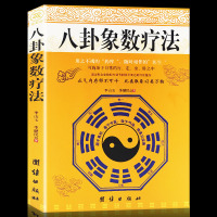 全新 八卦象数疗法 李山玉李健民著八卦象数点穴疗法医道还元寻回中医失落的元神周易与中医学易经数理秘笈 医学古籍