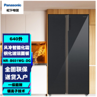 松下(Panasonic)NR-B651WG-DG 640L对开门大容量 精准调温一级能效带变温大冰箱 黑色