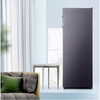 松下(Panasonic) NR-FZ161P-S(尊雅银) 167升 无霜 立式冷冻箱