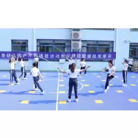 幼儿基本运动能力+手球+花样跳绳游戏化课程、培训、器材与评价“3+1”整体解决方案