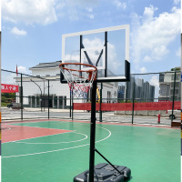 米格尔整套:篮球课程+跳绳课程+器材