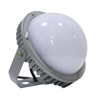 倬屹(ZHUOYI)FZY927-E100-100W IP66 220V 冷白 LED平台灯 (计价单位:个) 银色