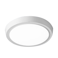 倬屹(ZHUOYI)FZY921-E25 24W IP66 220V 5700K LED 吸顶灯 白色