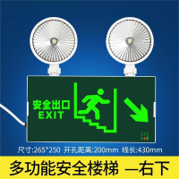 电帮务 下楼梯疏散指示灯 LT-ZFZD-E5W-3A 消防应急 绿色 个