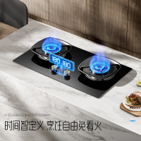 创维（Skyworth）燃气灶双灶具Z215B 双灶定时5.0KW聚能猛火爆炒 台式/嵌入式两用炉具 家用液化气