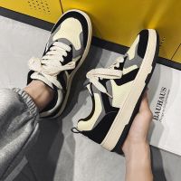 鞋子男秋季潮流板鞋男款百搭学生小众校园风帆布鞋男士运动休闲鞋