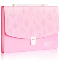 得力(deli)5880彩色时尚便携风琴包/资料包/文件包