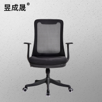 昱成晟 10234 办公椅家用电脑椅升降转椅人体工学椅护腰椅黑色