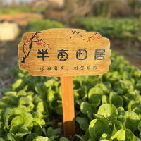 峰呈 FC-0116 园插地牌幼儿园种植区提示牌户外植物标签牌花园标识牌