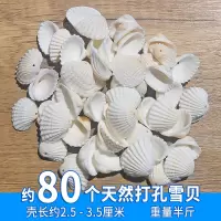 峰呈 FC-0818 家居装饰艺贴墙海螺打孔白色地台贝壳