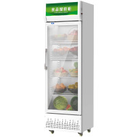 峰呈 FC-0848 食品留样柜商用 蔬菜水果冷藏柜冰箱 单门展示柜学校幼儿园食堂保鲜柜