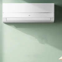 飞利浦(Philips)FAC26V1Cb1HR空调 新一级能效变频冷暖 舒适风 壁挂式空调挂机