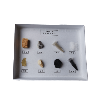 天然材料标本盒 儿童科普教具 相框标本独立装饰展示