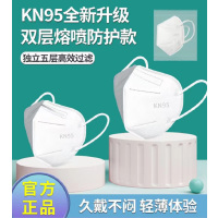 KN95成人一次性防护口罩防尘防病毒防飞沫含熔喷布厚KN95 (多批次多工共供货包装外盒略有不同)