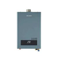 美菱(MELING)13升燃气热水器JSQ25-MR-PS313J（天然气）