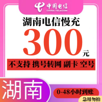 湖南电信 300元 慢充话费 特惠话费 自动充值 电信号码 x0-48小时到账