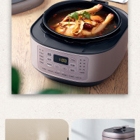 美的(Midea)电压力锅MY-EYL6041