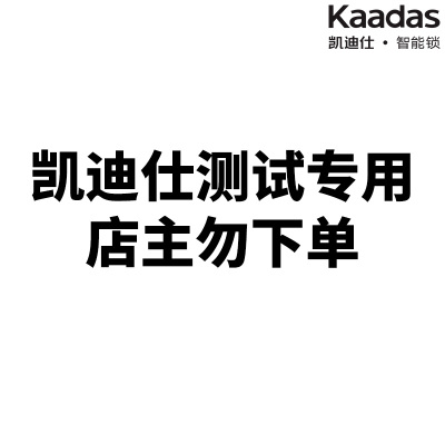 凯迪仕测试专用,店主请勿购买