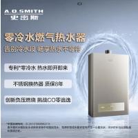 A.O.史密斯 燃气热水器 JSQ31-BJS