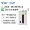 A.O.史密斯AI-LiNK 零冷水燃气热水器JSQ31-VJSAi